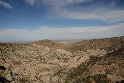 DSC_6281 (Large).JPG